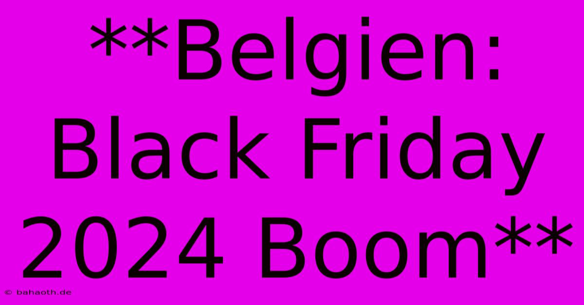 **Belgien: Black Friday 2024 Boom**