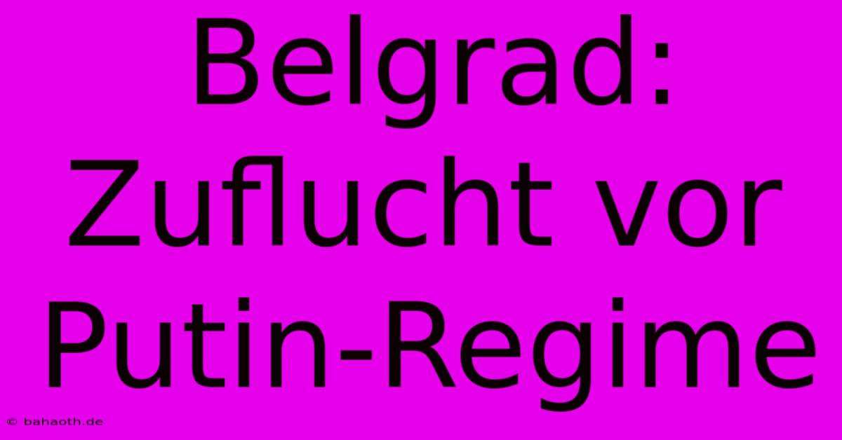 Belgrad: Zuflucht Vor Putin-Regime