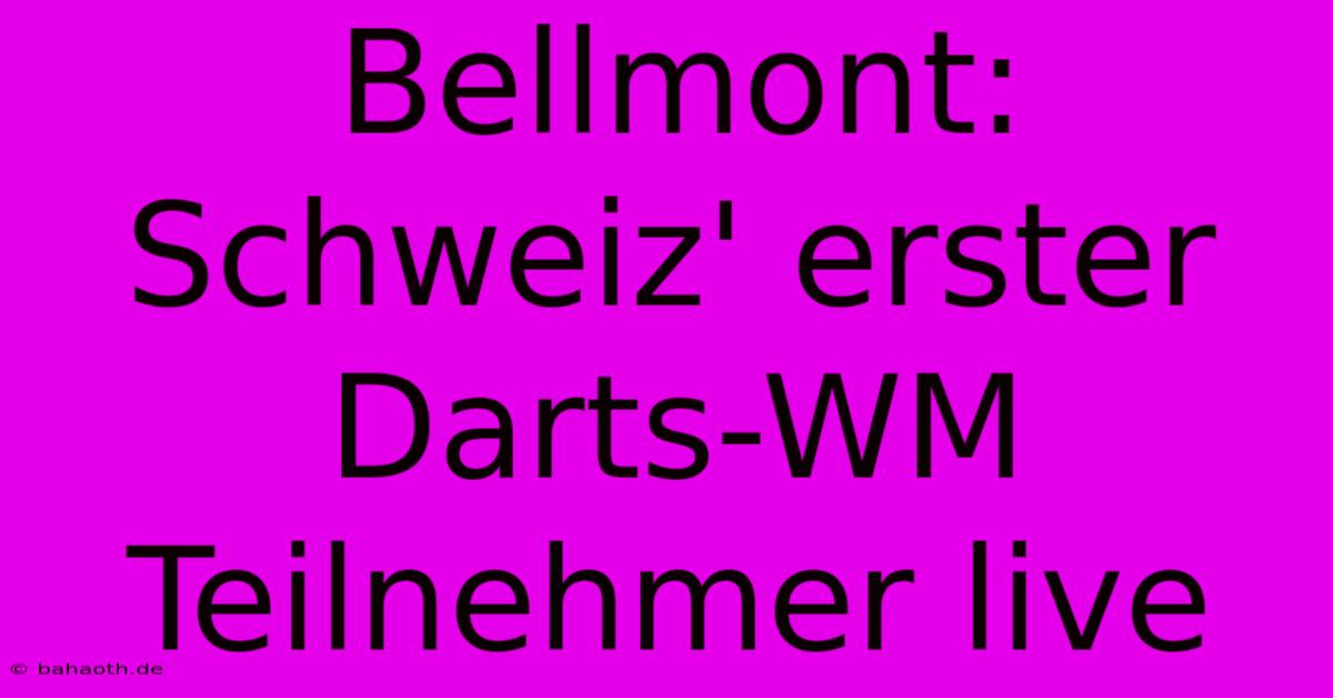 Bellmont: Schweiz' Erster Darts-WM Teilnehmer Live