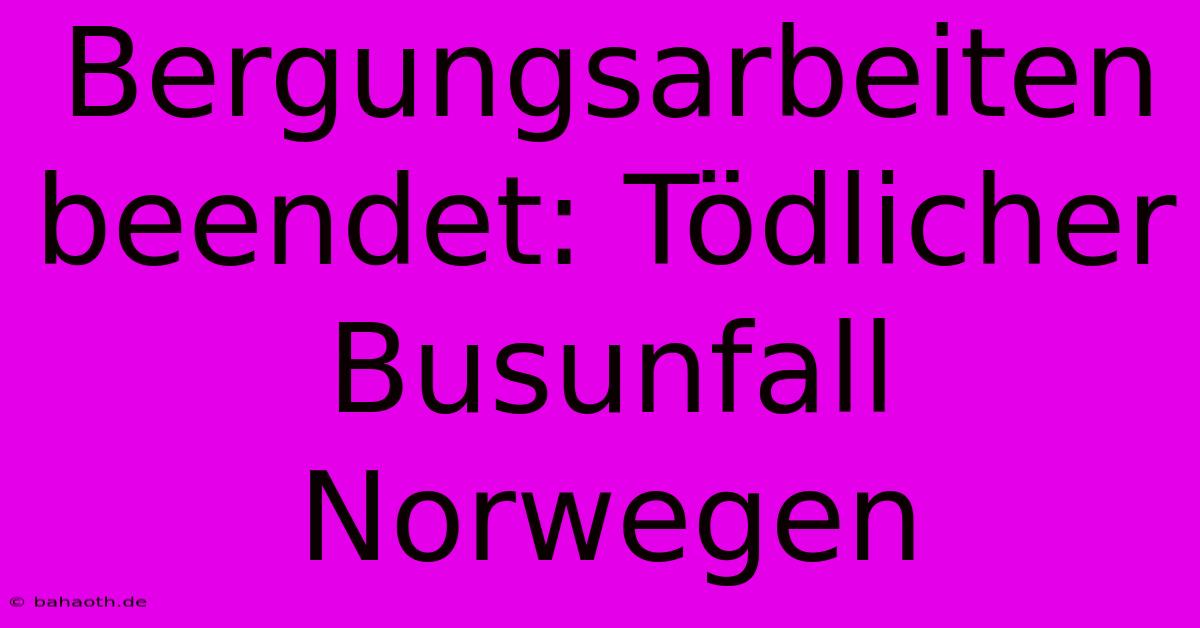 Bergungsarbeiten Beendet: Tödlicher Busunfall Norwegen