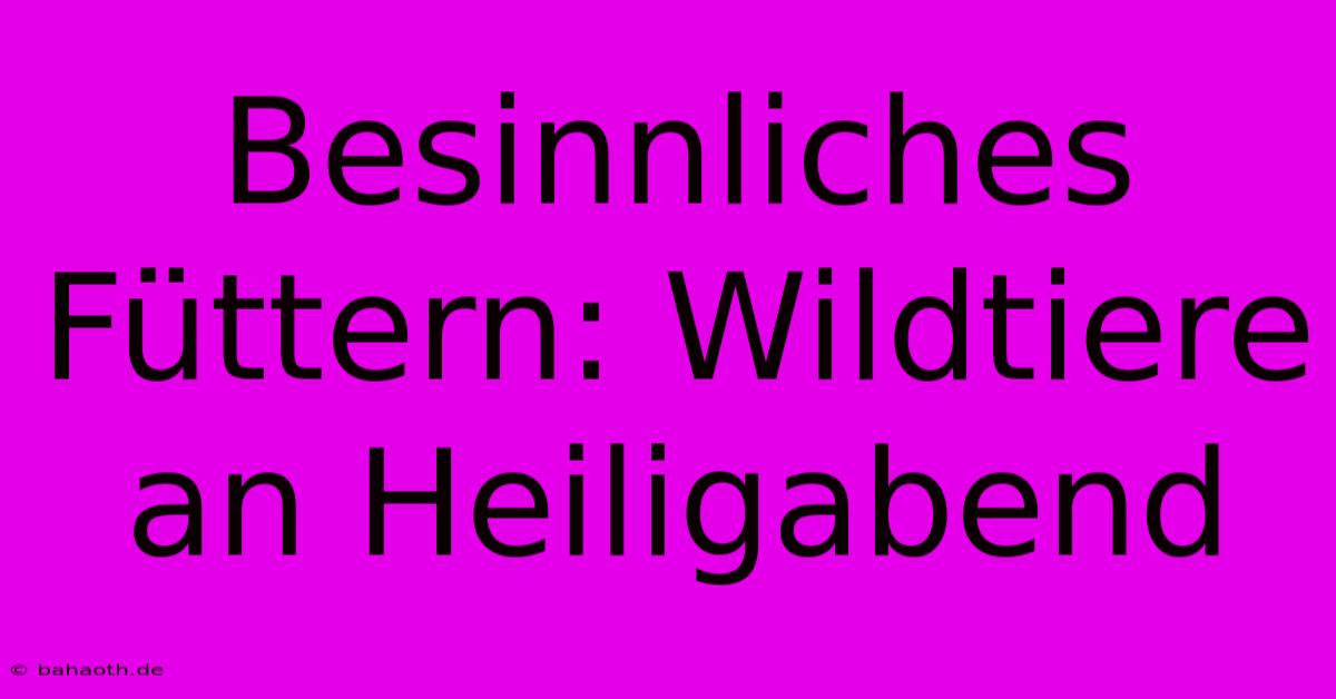 Besinnliches Füttern: Wildtiere An Heiligabend