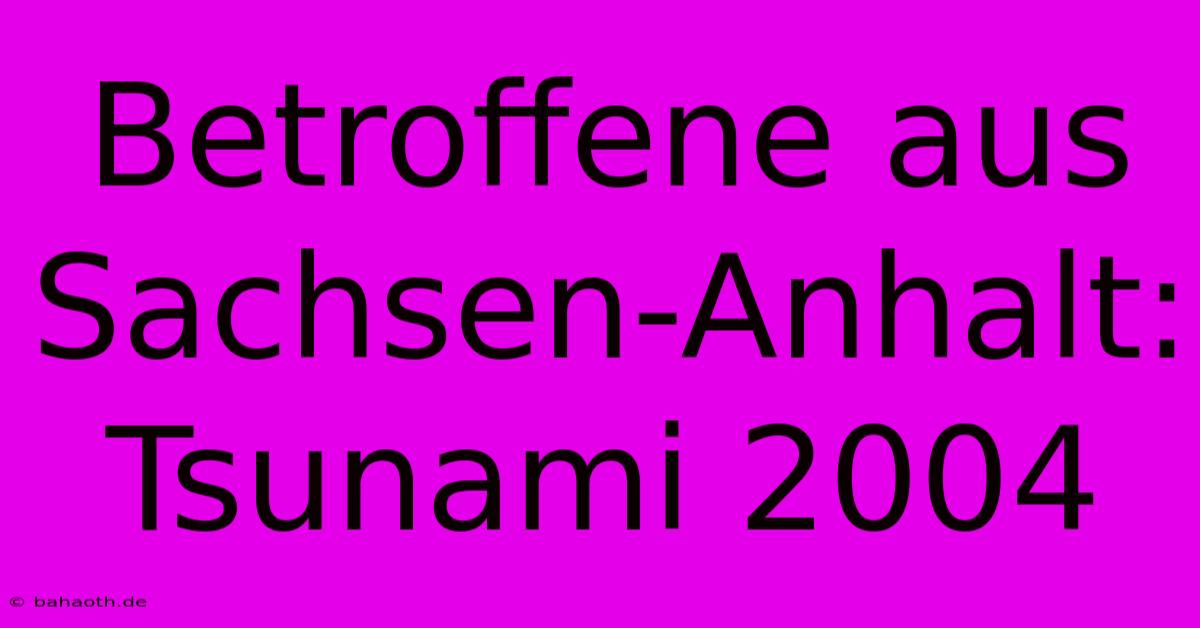 Betroffene Aus Sachsen-Anhalt: Tsunami 2004