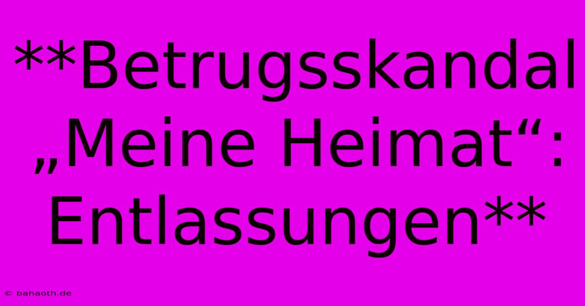 **Betrugsskandal „Meine Heimat“: Entlassungen**