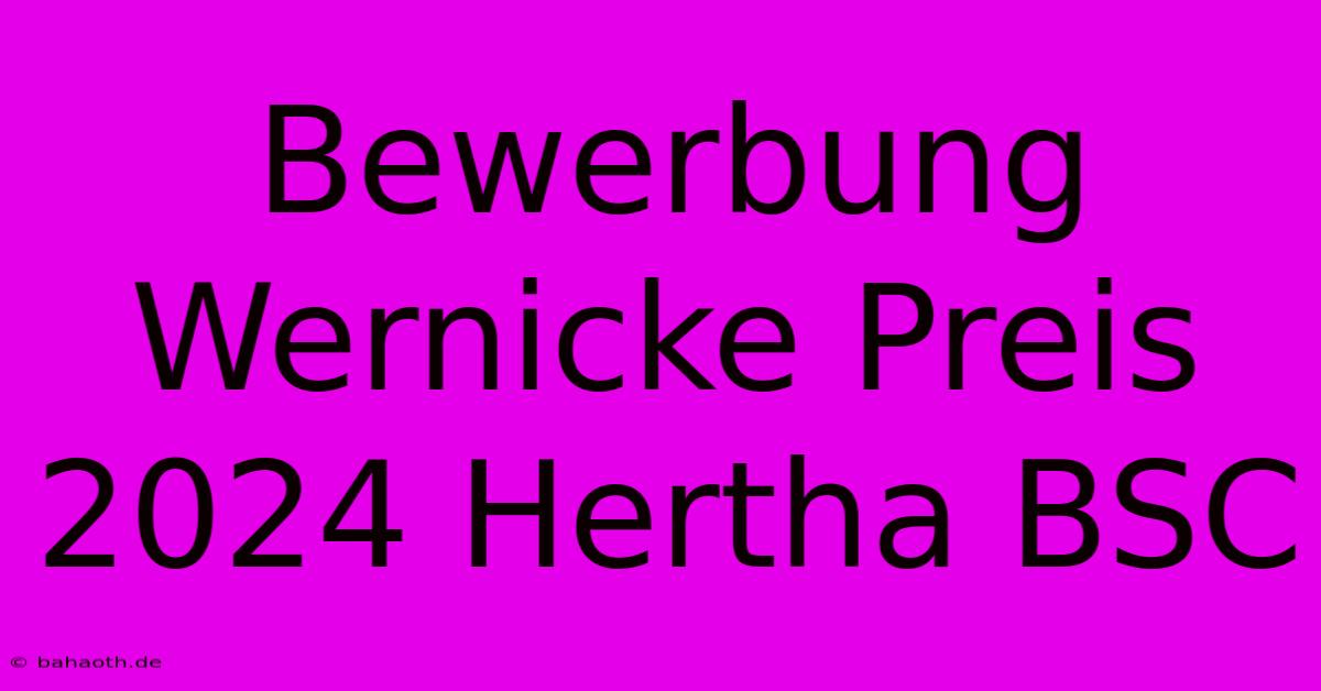 Bewerbung Wernicke Preis 2024 Hertha BSC