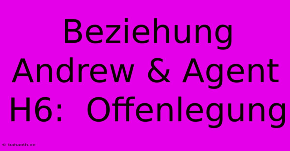 Beziehung Andrew & Agent H6:  Offenlegung