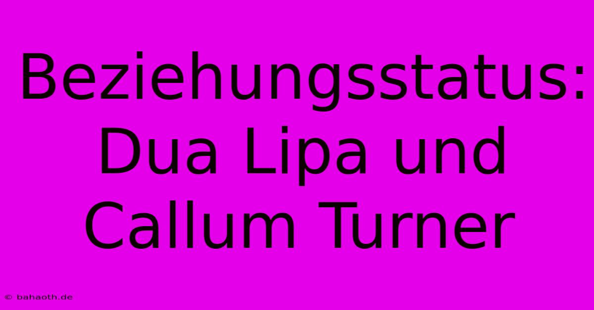 Beziehungsstatus: Dua Lipa Und Callum Turner