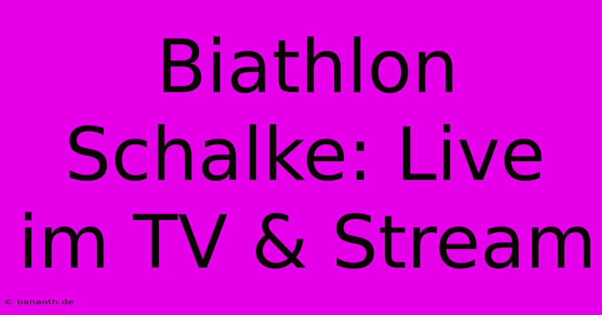 Biathlon Schalke: Live Im TV & Stream