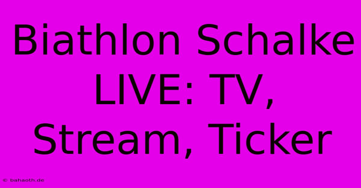 Biathlon Schalke LIVE: TV, Stream, Ticker