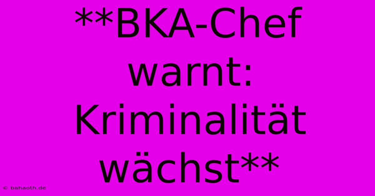 **BKA-Chef Warnt: Kriminalität Wächst**