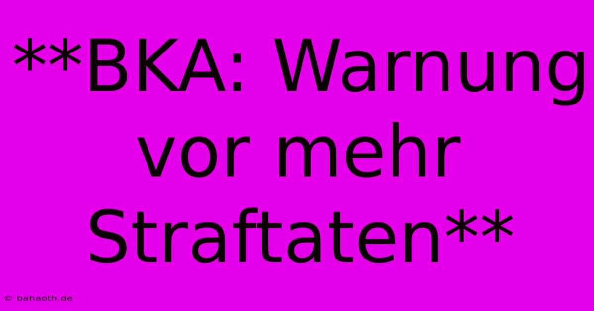 **BKA: Warnung Vor Mehr Straftaten**