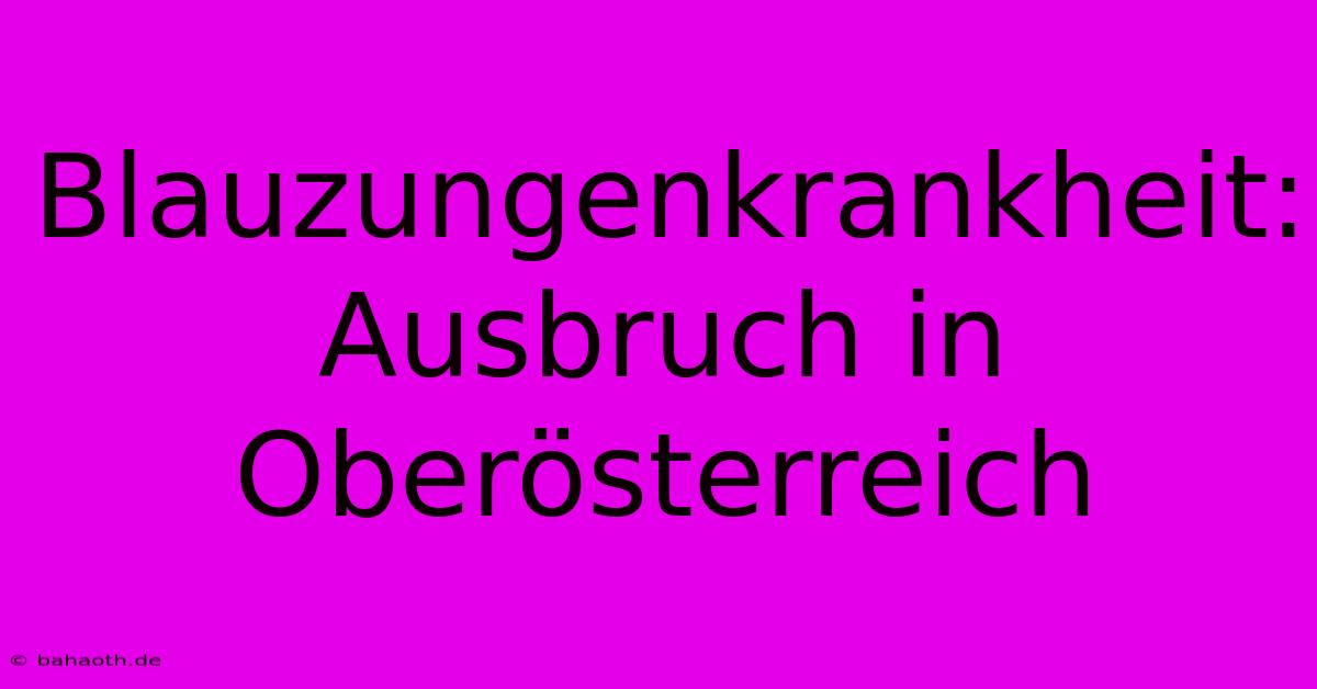 Blauzungenkrankheit: Ausbruch In Oberösterreich