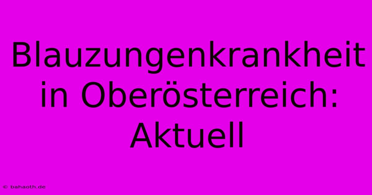 Blauzungenkrankheit In Oberösterreich: Aktuell