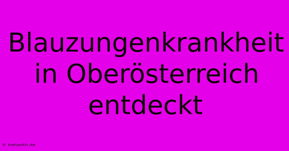 Blauzungenkrankheit In Oberösterreich Entdeckt