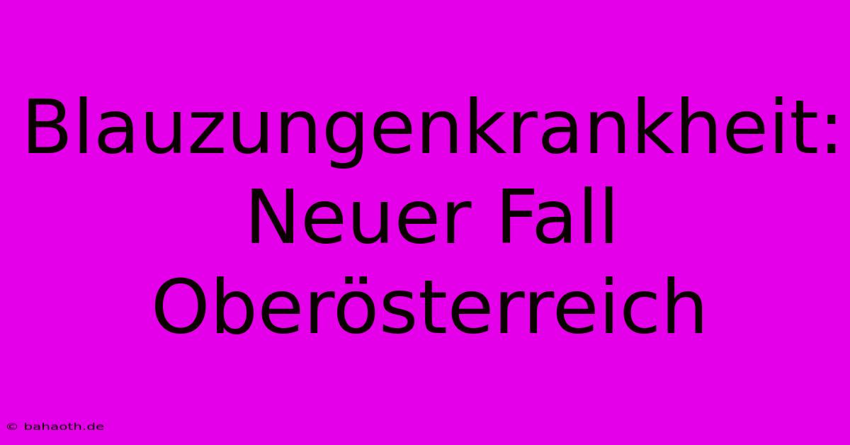 Blauzungenkrankheit: Neuer Fall Oberösterreich