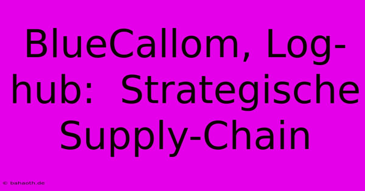 BlueCallom, Log-hub:  Strategische Supply-Chain