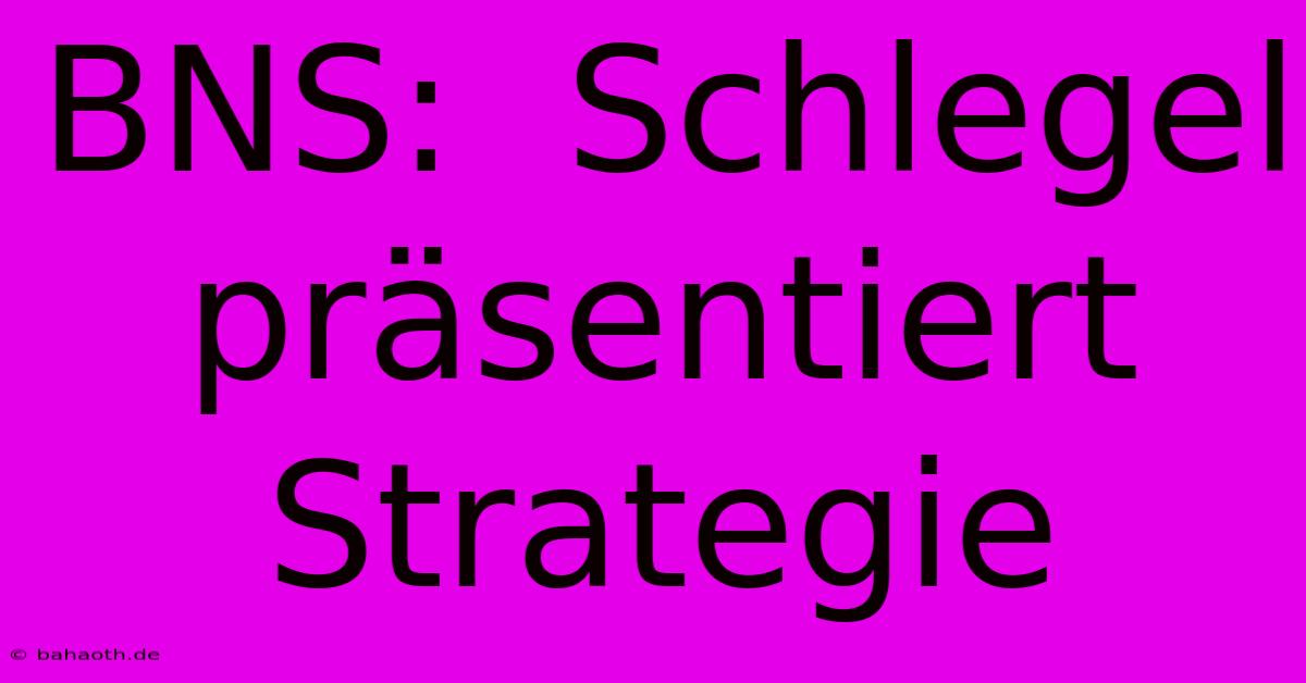 BNS:  Schlegel Präsentiert Strategie