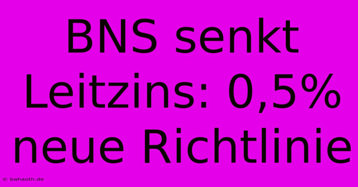 BNS Senkt Leitzins: 0,5% Neue Richtlinie