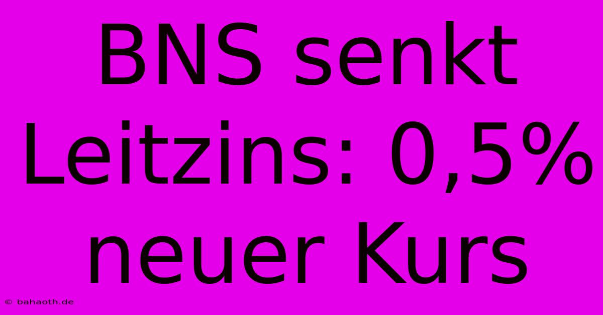 BNS Senkt Leitzins: 0,5% Neuer Kurs