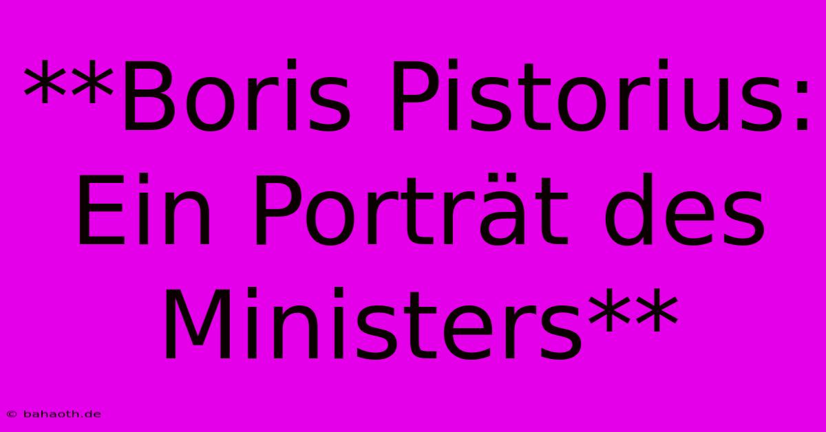 **Boris Pistorius:  Ein Porträt Des Ministers**