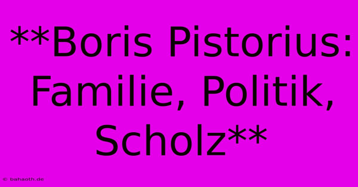 **Boris Pistorius:  Familie, Politik, Scholz**