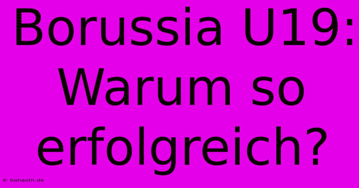 Borussia U19: Warum So Erfolgreich?