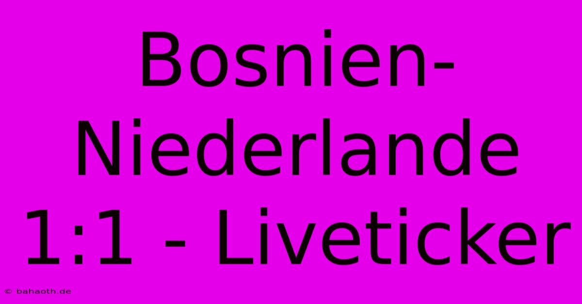 Bosnien-Niederlande 1:1 - Liveticker