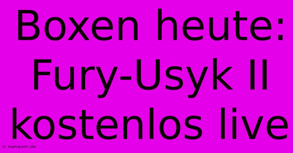 Boxen Heute: Fury-Usyk II Kostenlos Live