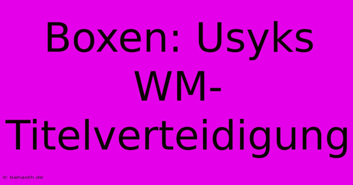 Boxen: Usyks WM-Titelverteidigung