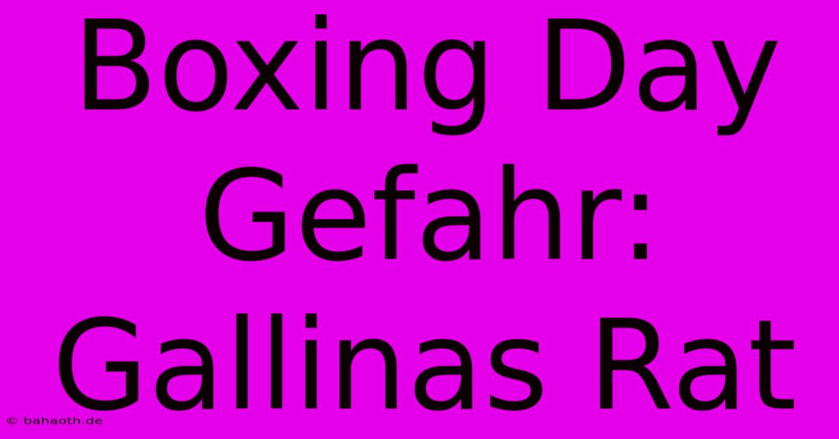 Boxing Day Gefahr: Gallinas Rat