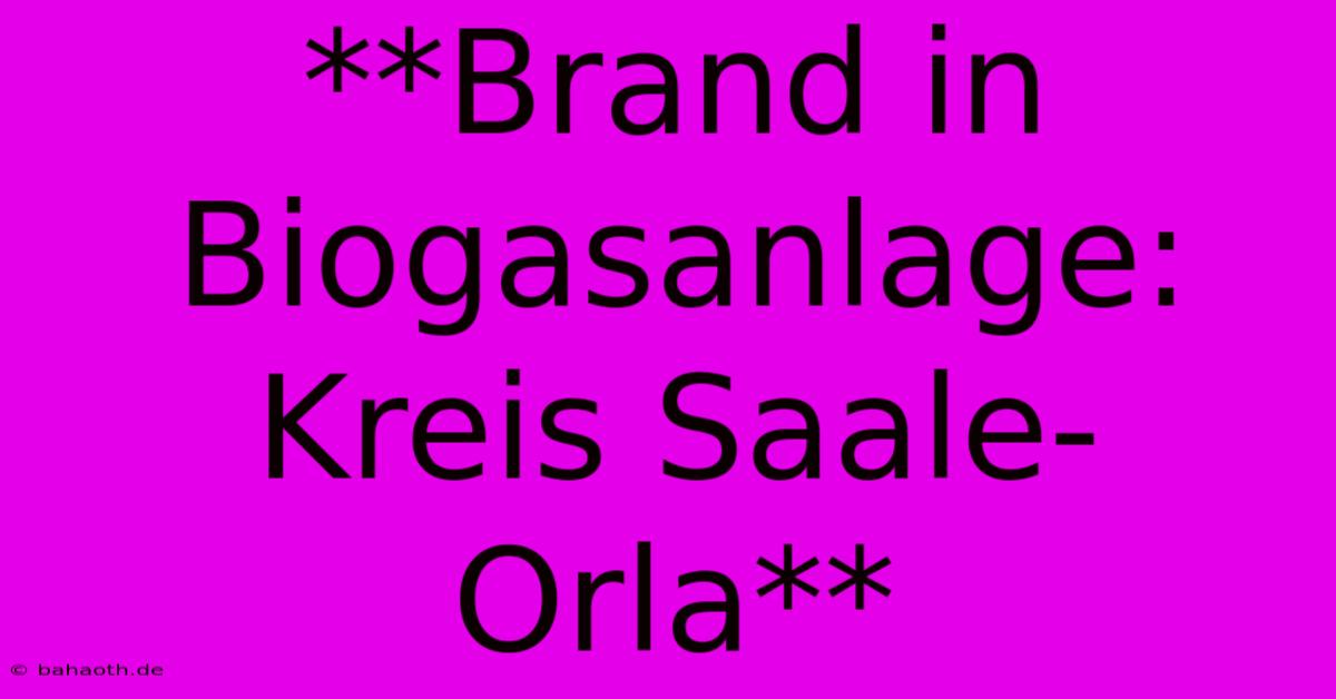 **Brand In Biogasanlage: Kreis Saale-Orla**