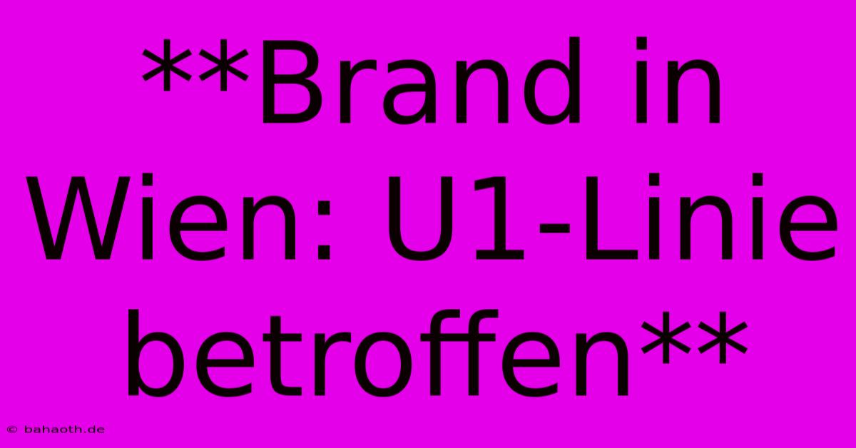 **Brand In Wien: U1-Linie Betroffen**