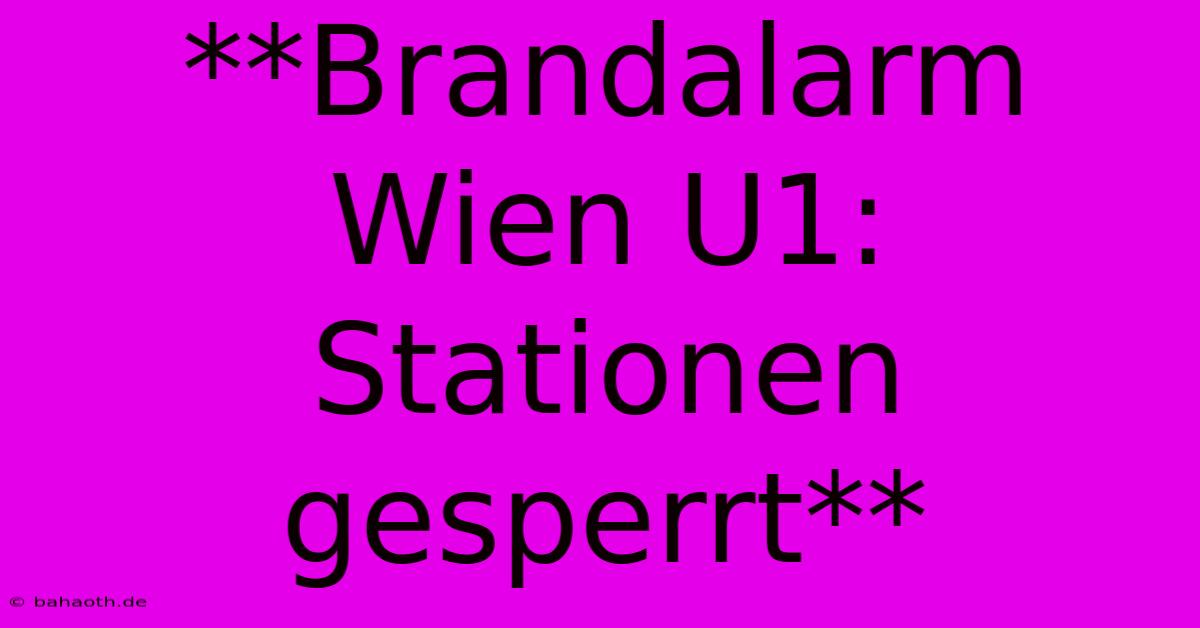 **Brandalarm Wien U1: Stationen Gesperrt**