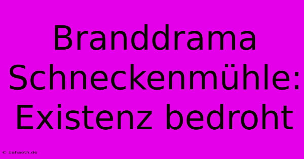 Branddrama Schneckenmühle: Existenz Bedroht