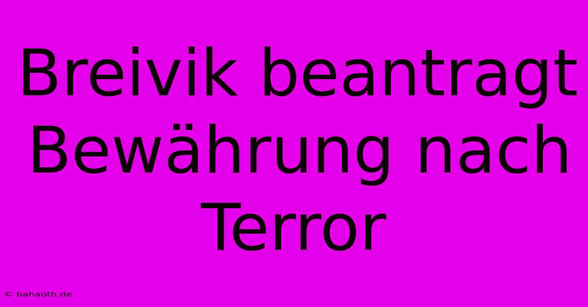 Breivik Beantragt Bewährung Nach Terror