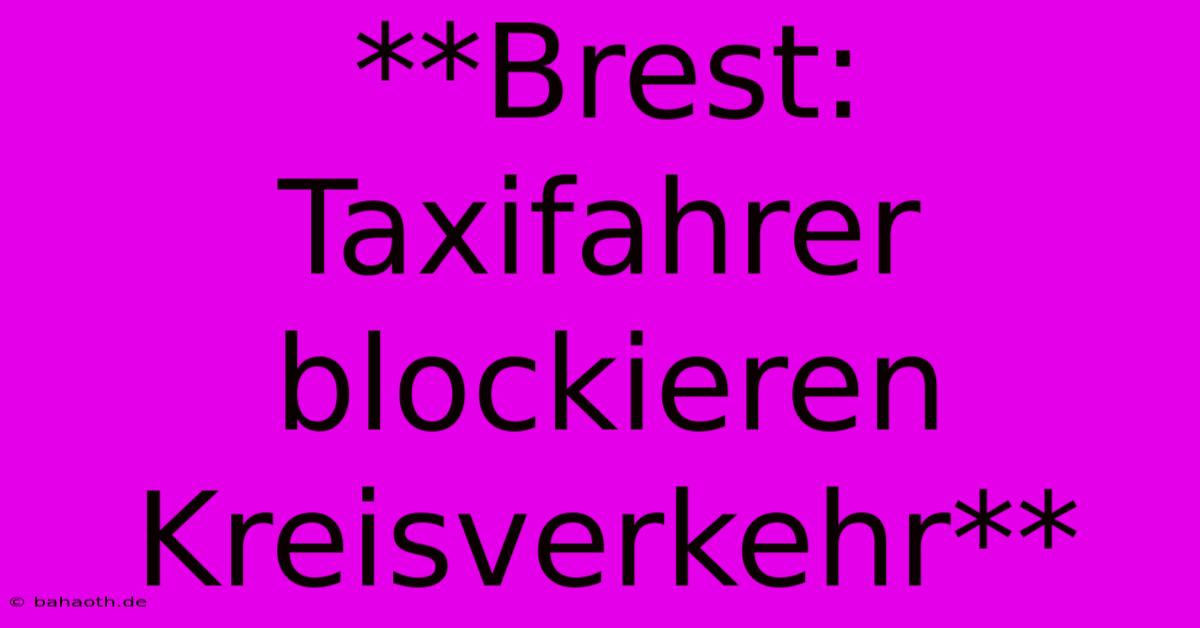 **Brest: Taxifahrer Blockieren Kreisverkehr**