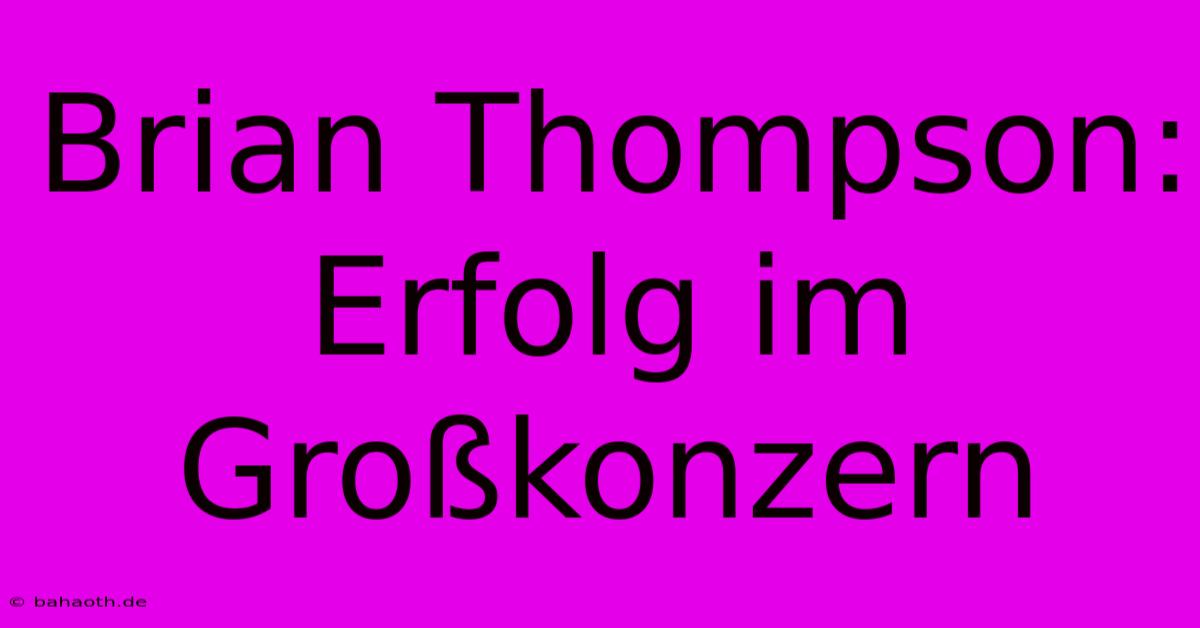 Brian Thompson:  Erfolg Im Großkonzern