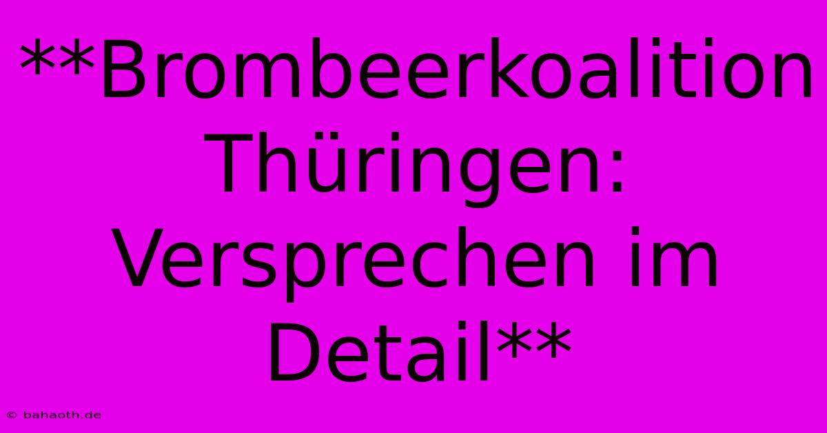 **Brombeerkoalition Thüringen: Versprechen Im Detail**