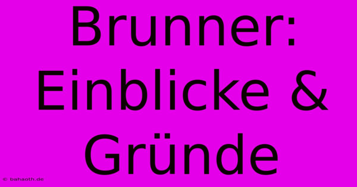 Brunner: Einblicke & Gründe