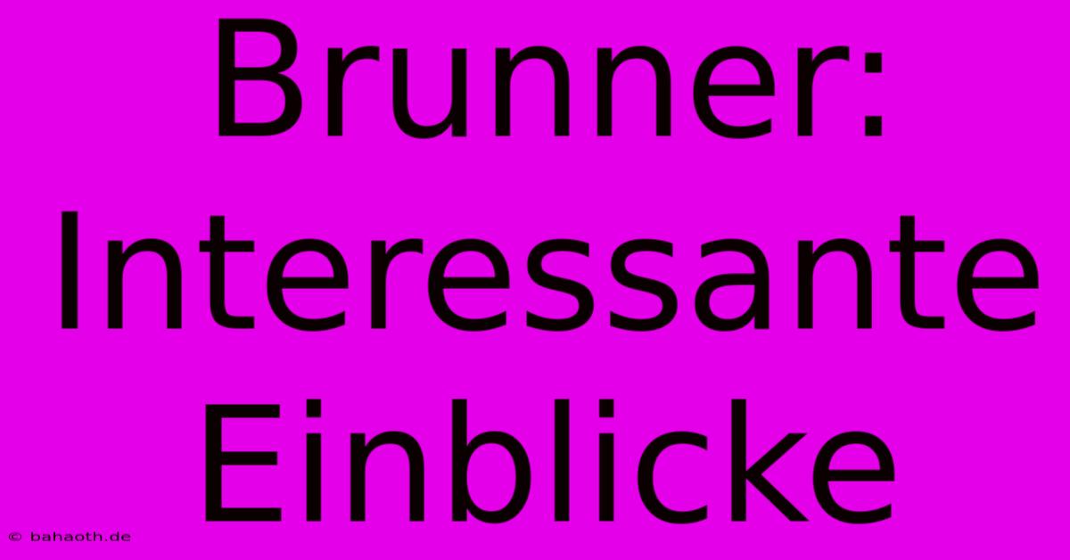 Brunner:  Interessante Einblicke