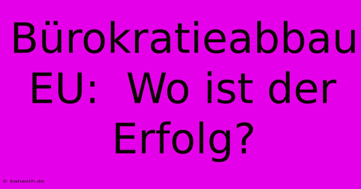 Bürokratieabbau EU:  Wo Ist Der Erfolg?