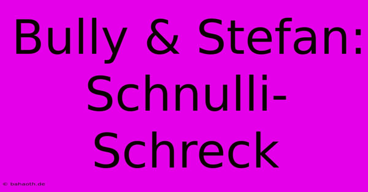 Bully & Stefan: Schnulli-Schreck