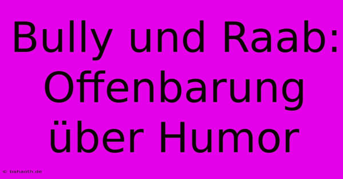 Bully Und Raab: Offenbarung Über Humor