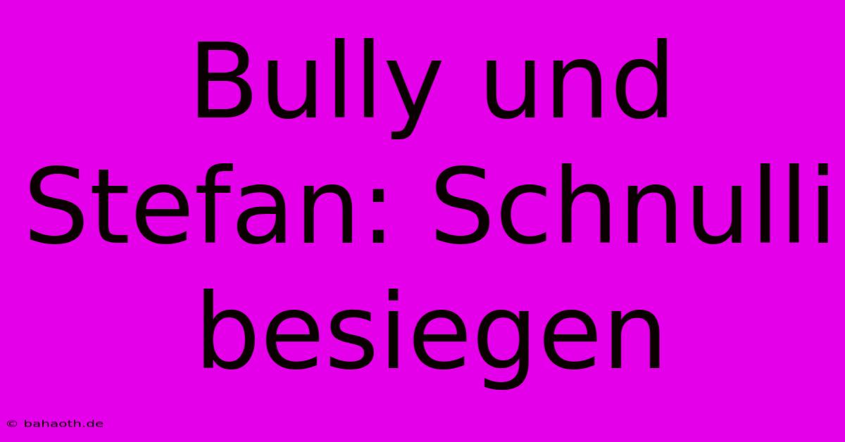 Bully Und Stefan: Schnulli Besiegen