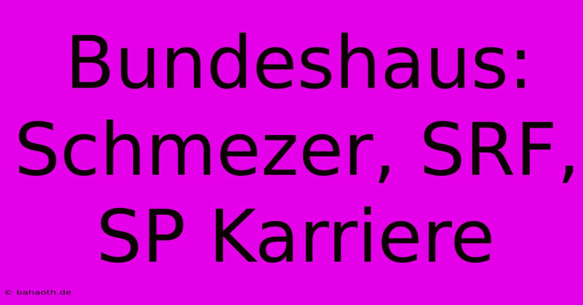 Bundeshaus: Schmezer, SRF, SP Karriere