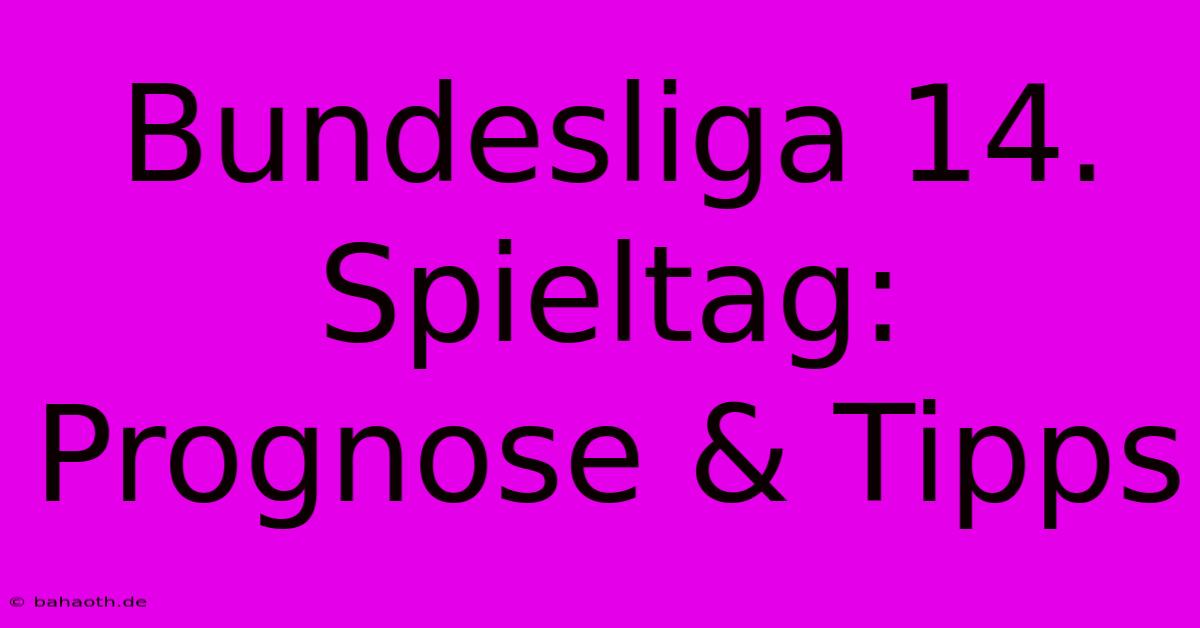 Bundesliga 14. Spieltag: Prognose & Tipps