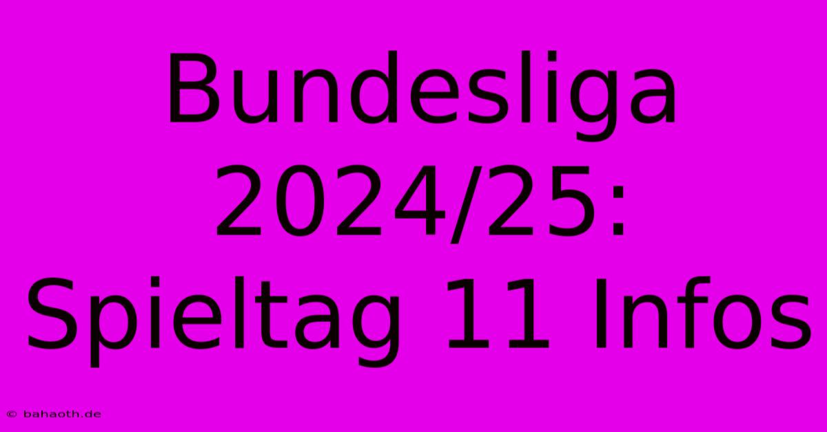 Bundesliga 2024/25: Spieltag 11 Infos