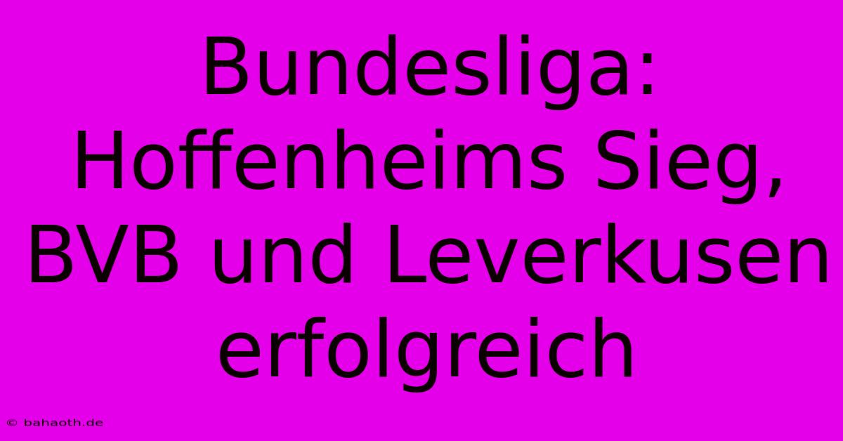 Bundesliga:  Hoffenheims Sieg, BVB Und Leverkusen Erfolgreich