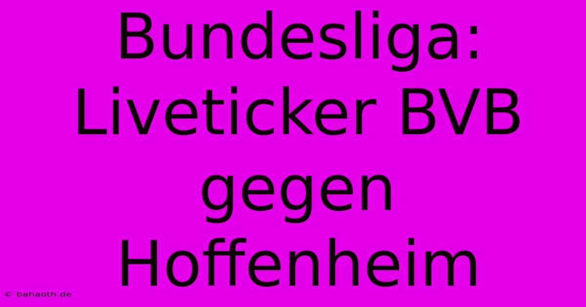 Bundesliga: Liveticker BVB Gegen Hoffenheim