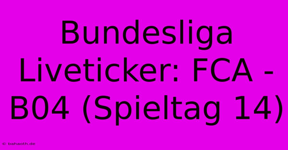 Bundesliga Liveticker: FCA - B04 (Spieltag 14)