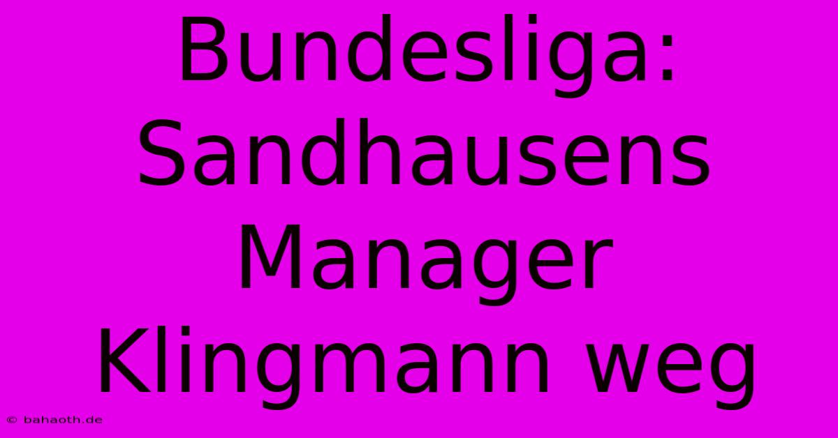 Bundesliga:  Sandhausens Manager Klingmann Weg